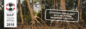 Mangrove Giving
