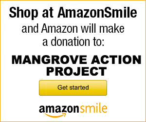 Shop Amazon Smile to support MAP