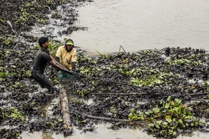 Sundarbans oil Spill 2014